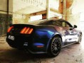 /album/ford-mustang-5-0-gt/a31518803-1805534822801202-5556988039441416192-n-jpg/