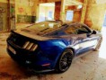 /album/ford-mustang-5-0-gt/a31655427-1805534762801208-3447145175585914880-n-jpg/