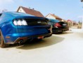 /album/ford-mustang-5-0-gt/a32847935-1823372101017474-1885613955750035456-n-jpg/